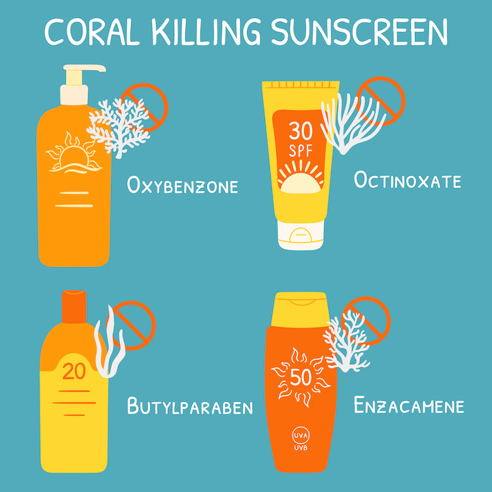 Korallen / Korallenriff Killer in Sonnencremen und Co.