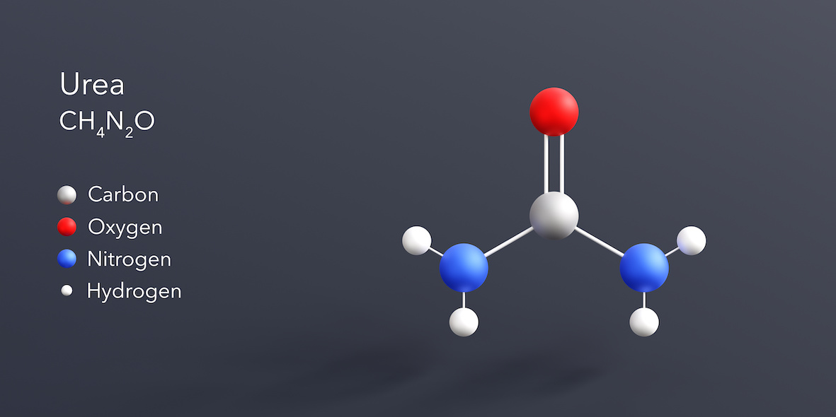 Urea in kosmetischen Produkten